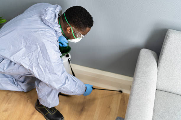 Real Estate Pest Inspections in De Leon, TX